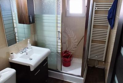 Apartament cu 2 camere, mobilat în Paltiniș - 7