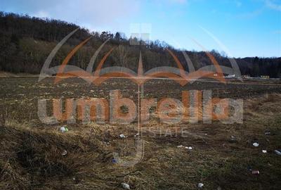 De vanzare in Gherla, Strada Hasdatii, 22.967mp - 3