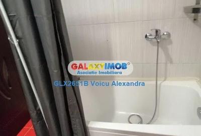 Garsoniera Bloc Nou Berceni - Metalurgiei - Drumul Binelui - 6