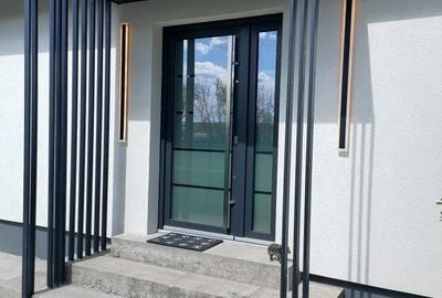 Casă cu 2 camere în Viile Satu Mare - 3
