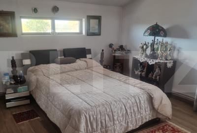 Proprietate multifunctionala,VILA,Teren 28000 mp+afacere pis - 14