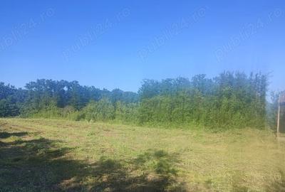 Teren de 2800 mp, în Jdioara - 6