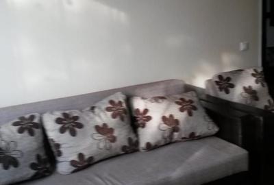 Apartament cu 2 camere decomandat, mobilat în Semicentral - 9