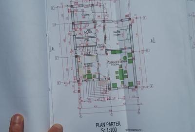 Casă cu 4 camere în Petrișor - 2