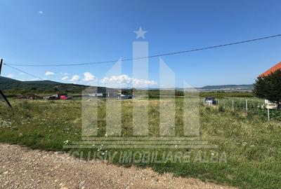 Teren Construcții intravilan de 689 mp, în Cetate - 3