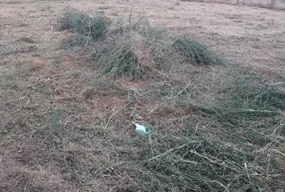 Teren de 500 mp, în Nord - 6