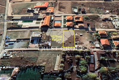 Teren intravilan | 1000mp | Vama Veche | la doar 100m de plaja Teren intravilan | 1000mp | Vama Veche | la doar 100m de plaja - 4