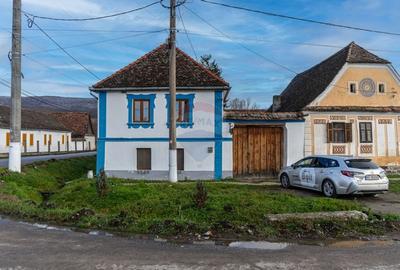 Casa / Vila cu 7 camere de vanzare - 48