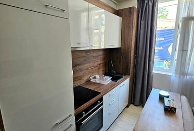 Apartament cu 2 camere semidecomandat, mobilat în Parcul Carol - 5