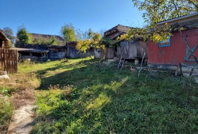 Casă cu 2 camere în Ulieș - 5