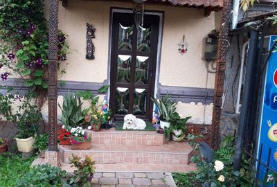 Casă cu 6 camere cu Teren 2000 Mp în Tismana - 1