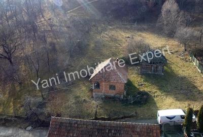 Teren în Cicănești - 15