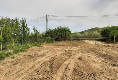 Teren de 1480 mp, în Vlădiceni - 4