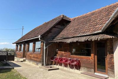 Casă cu 2 camere cu Teren 4300 Mp în Dulcele - 1