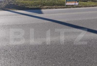 Teren intravilan ,4900 mp , 25ml front, Fratautii Vechi, Rad - 3