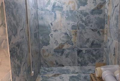Casă individuală cu 7 camere cu Canalizare în P-ța Operei - 12