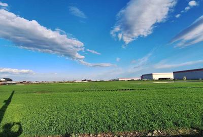 Spațiu comercial, în Dragomirești-Deal