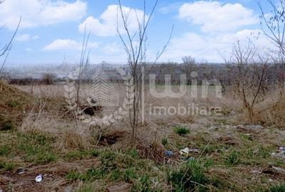 Teren 1500mp pentru diverse activitati economice | Zona Baile Someseni - 3