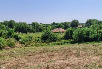 Teren de 924 mp, în Dridu - 5