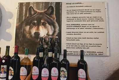 Vie Tradi?ionala Halta Lupilor - 11