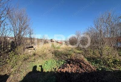 Casă cu 2 camere cu Canalizare în Cristian - 6