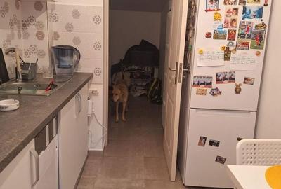 Apartament cu 3 camere în Tei - 6