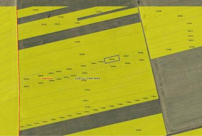 Teren Extravilan 28000 zona Schitul Sfanta Treime - Sere Constanta - 5