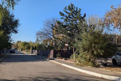 Teren 19.470 mp, dezvoltare imobiliara, Green City - 1 Decembrie, Ilfov - 14