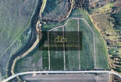 Teren Intravilan 1000mp / PUZ Aprobat  / Constructie Mixta - 2