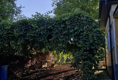 Casă cu 4 camere în Petru Rareș - 6