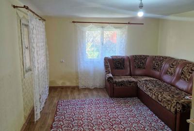 Casă cu 2 camere în Leșnic - 4
