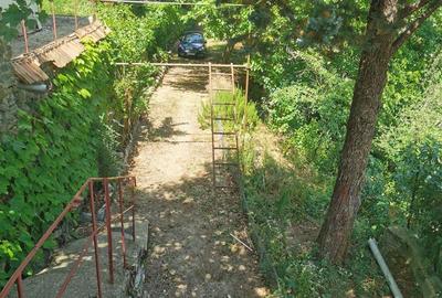 Casă cu 5 camere cu Teren 4200 Mp în Băile Herculane - 8