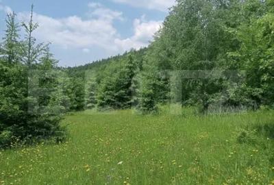 Teren în Scărișoara - 3