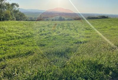 Teren Sibiu / Calea Surii Mici ideal investitie - 2
