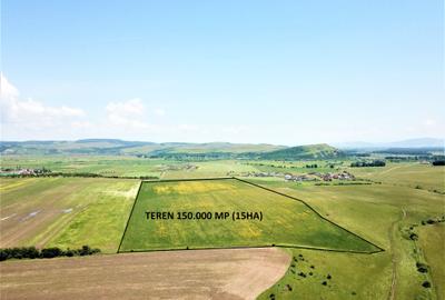 Teren Bod - ideal dezvoltare cartier rezidential - 10