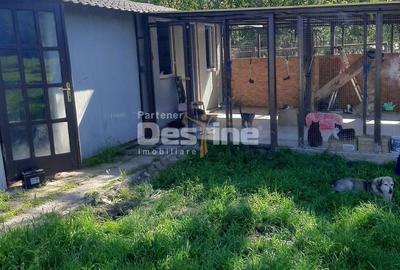 Casă cu 5 camere cu Teren 1675 Mp în Pestișu Mic - 9