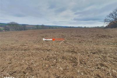 Spațiu comercial, în Izvoarele - 2