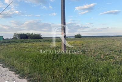 Teren de 2000 mp, în Tămășeu - 2