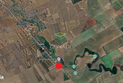 Spațiu comercial, în Pasărea - 1