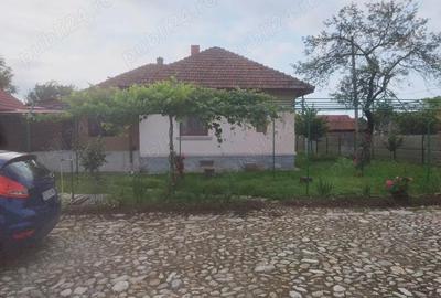 Teren de 6800 mp, în Polovragi - 3
