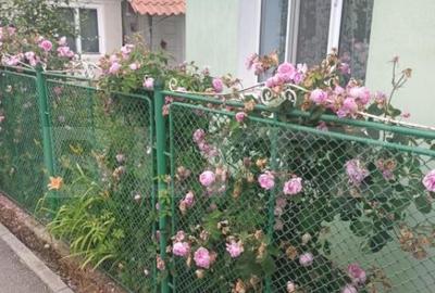 Casa cu 2 camere, 52mp, zona Remetea - 9