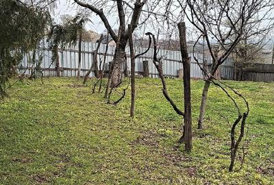 Casă cu Teren 2100 Mp în Aldești - 2
