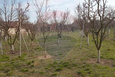 Spațiu comercial, în Vladimirescu - 4