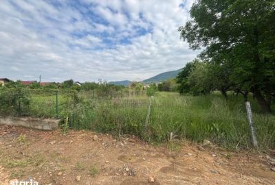Teren de 3700 mp, în Valea Borcutului - 4