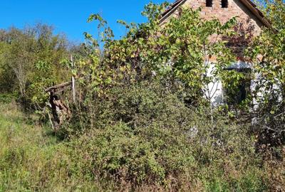 Spațiu comercial, în Cracu Almăj - 2