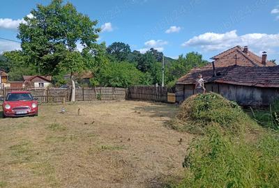 Casă în Aninoasa - 5