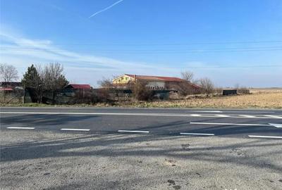 Teren de 5985 mp, în Nojorid - 4