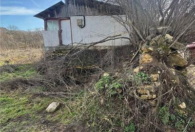 Spațiu comercial, în Nădășelu - 3