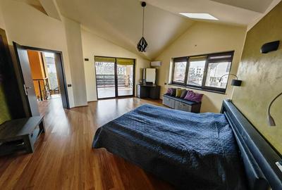 Vila S+P+M   Dumbravita - 14