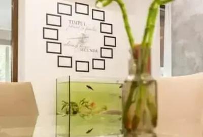 Vilă Elegantă | De Închiriat | Centrul Otopeni - 8